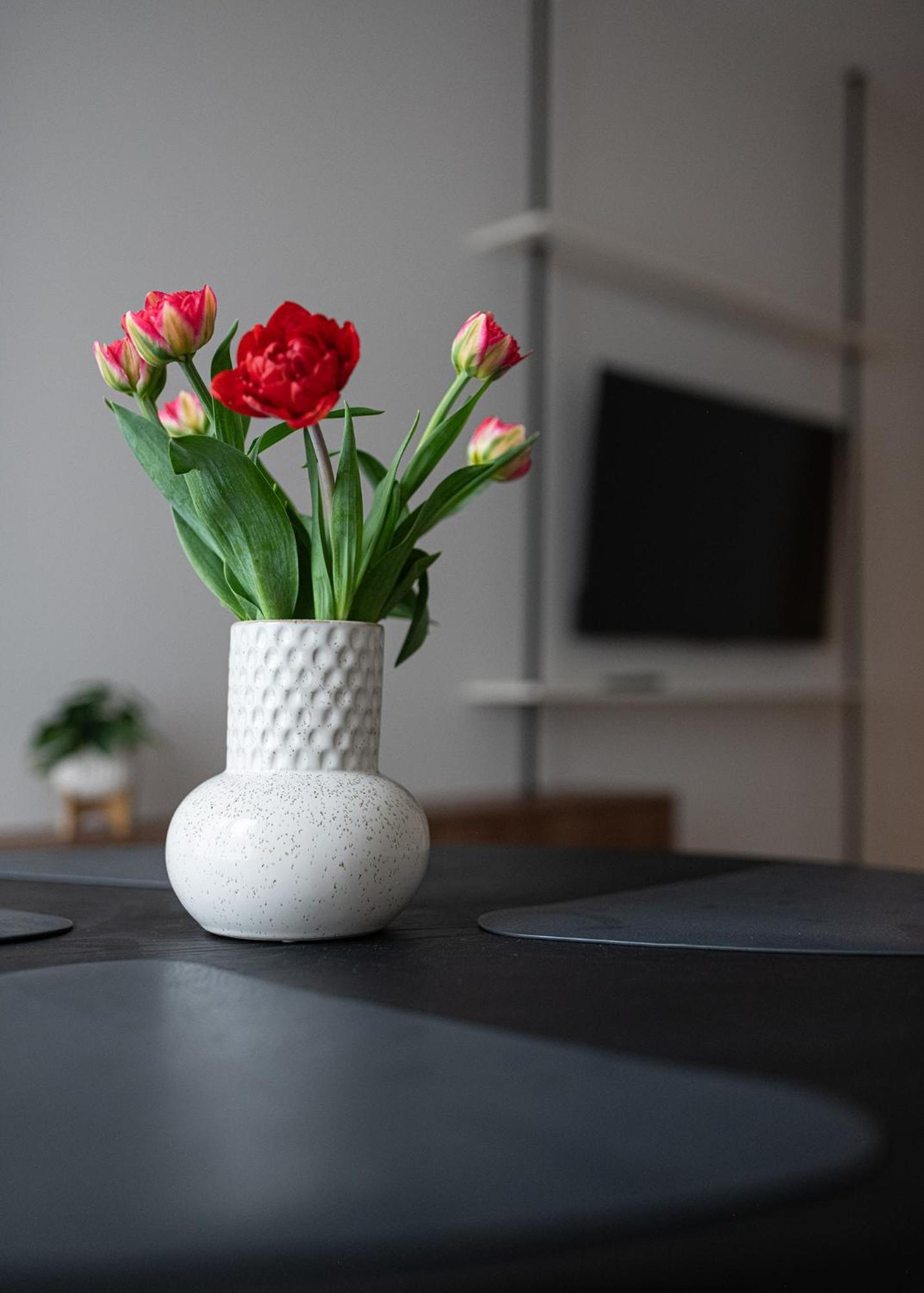 Apartament Mlynow Варшава Экстерьер фото